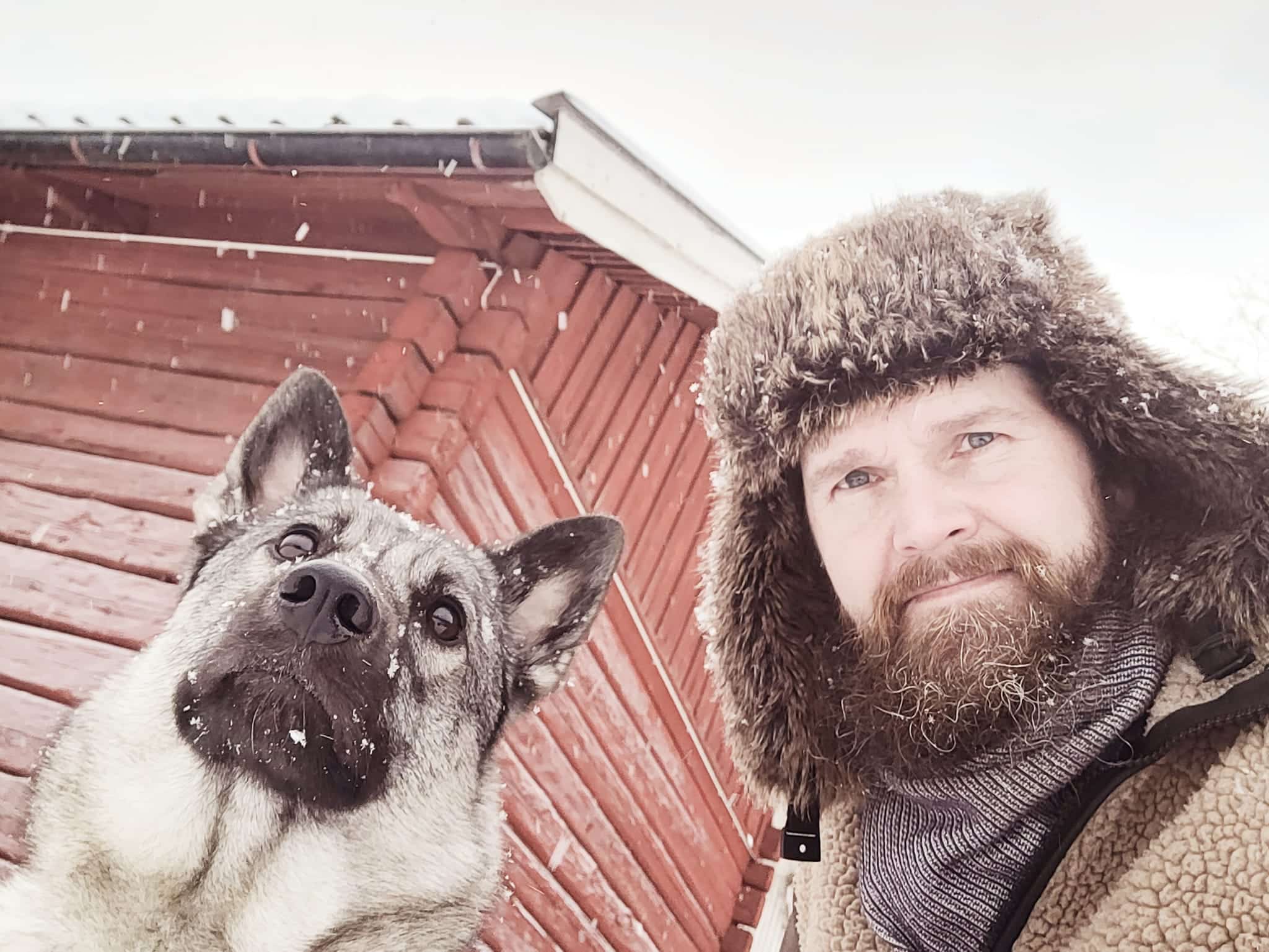 Ledhundsjakt Gråhunden Anchi och hundföraren Jonas Landolsi Jonas Vildmark Bushcraftcenter