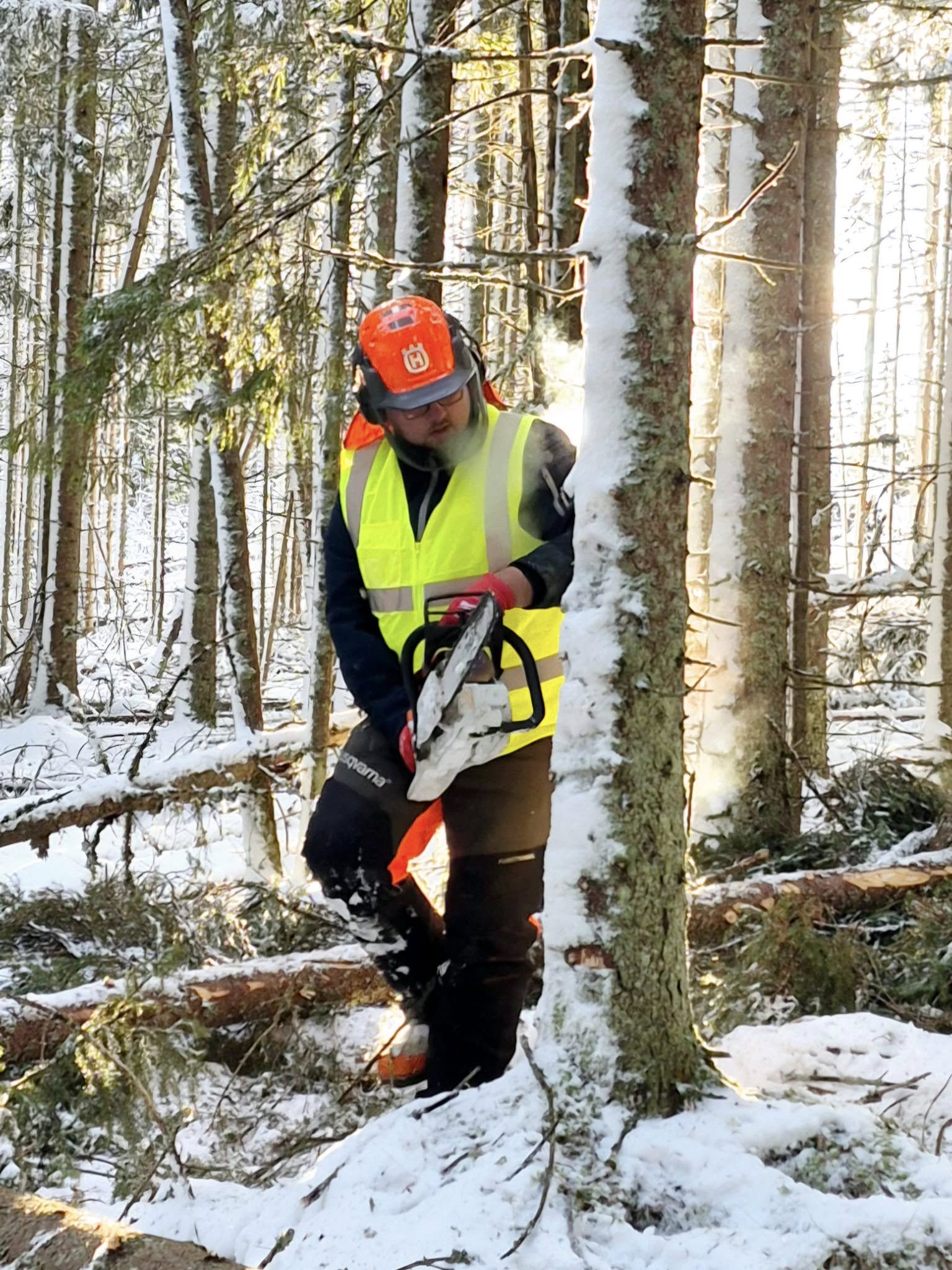 Motorsågskörkort med Jonas Vildmark Bushcraftcenter