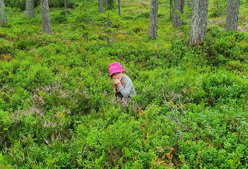 Friluftsliv och naturturism i Skinnskatteberg