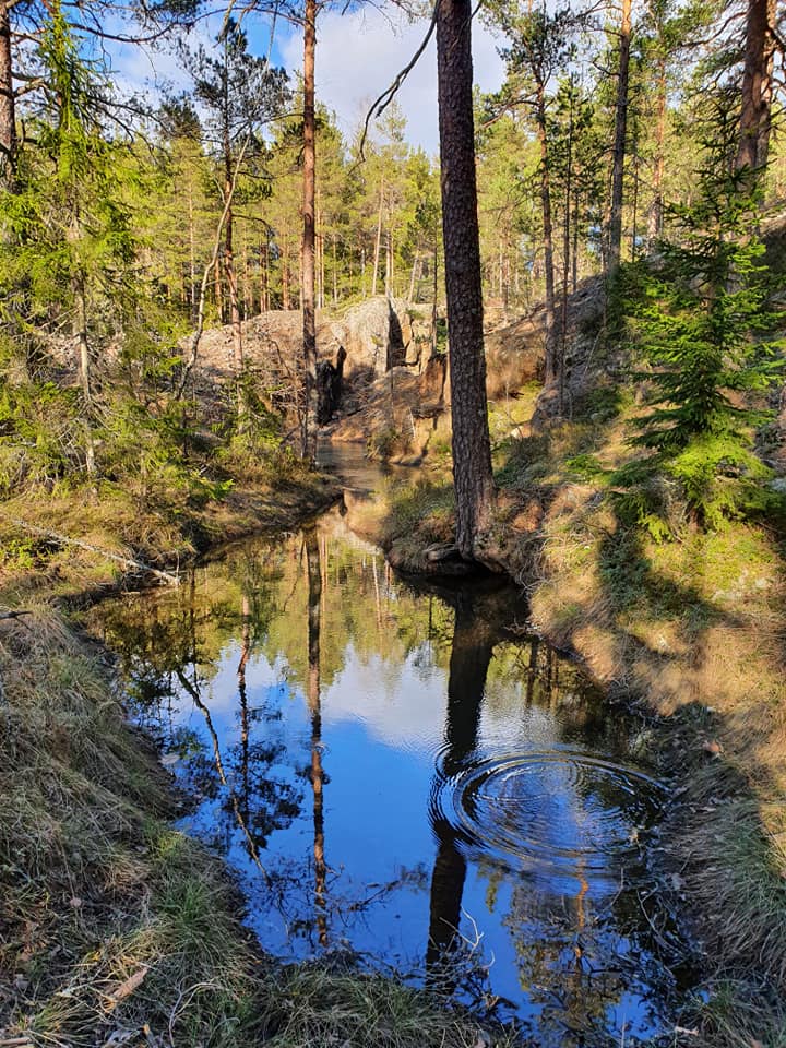 Korphyttefältet i Riddarhyttan Skinnskatteberg