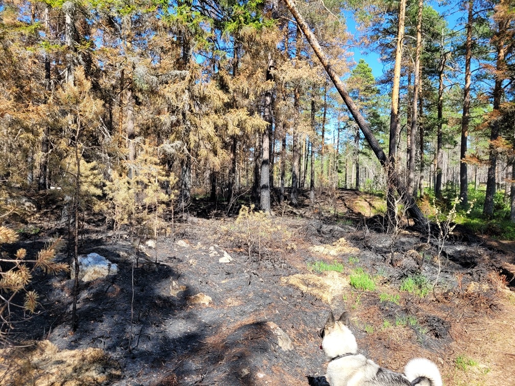 Skinnskatteberg_Farnaleden_Foto_Jonas_Landolsi_4745 Skinnskatteberg-Färnaleden